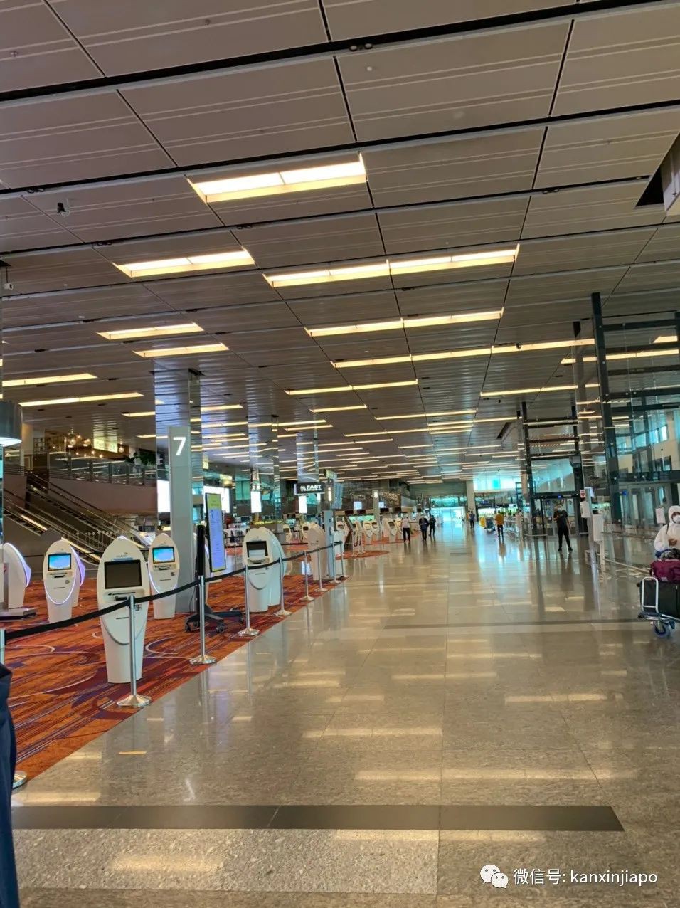 不同寻常的回家之旅 —新加坡飞回南京