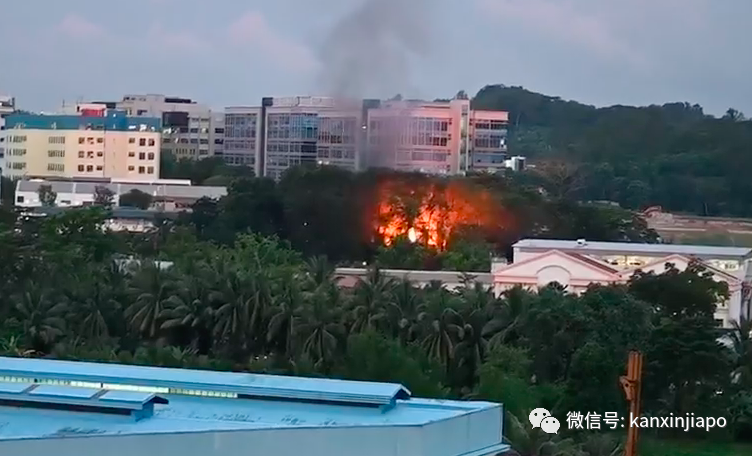 新加坡工厂大火，中国客工严重烧伤身亡！事发原因曝光