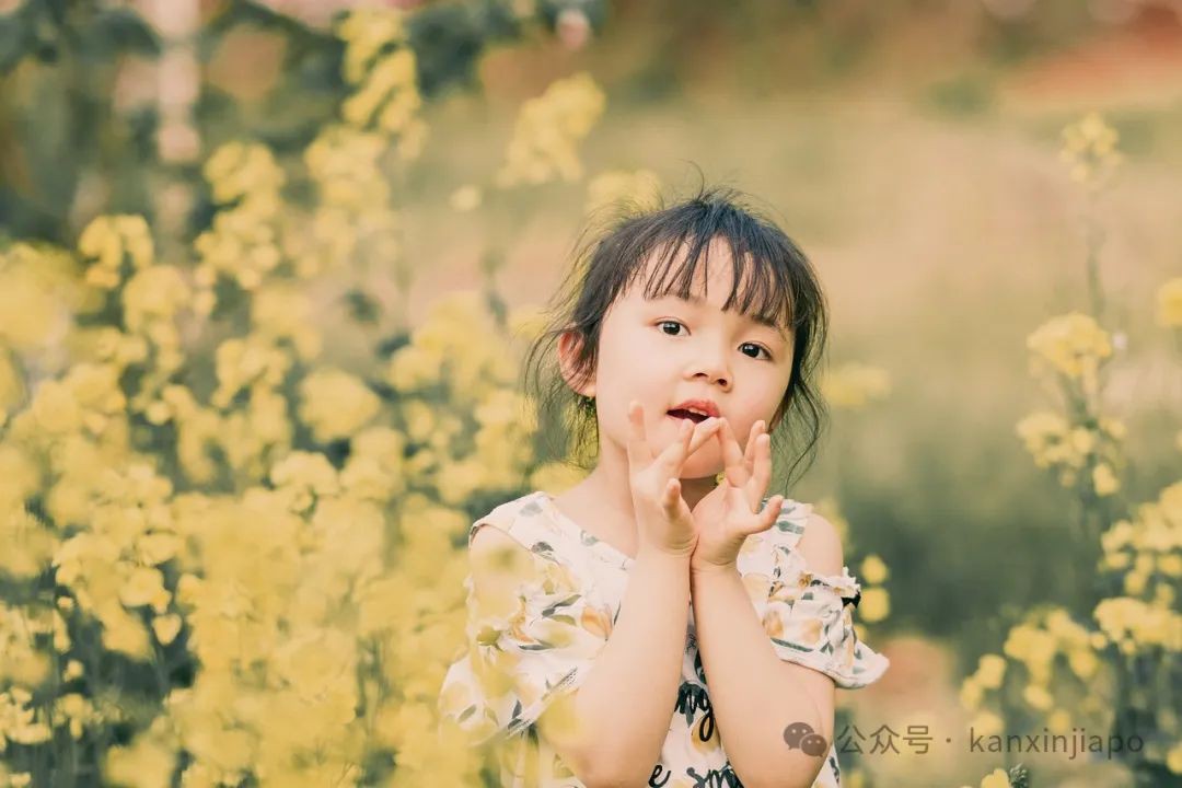 在新加坡,此罗厘非彼萝莉