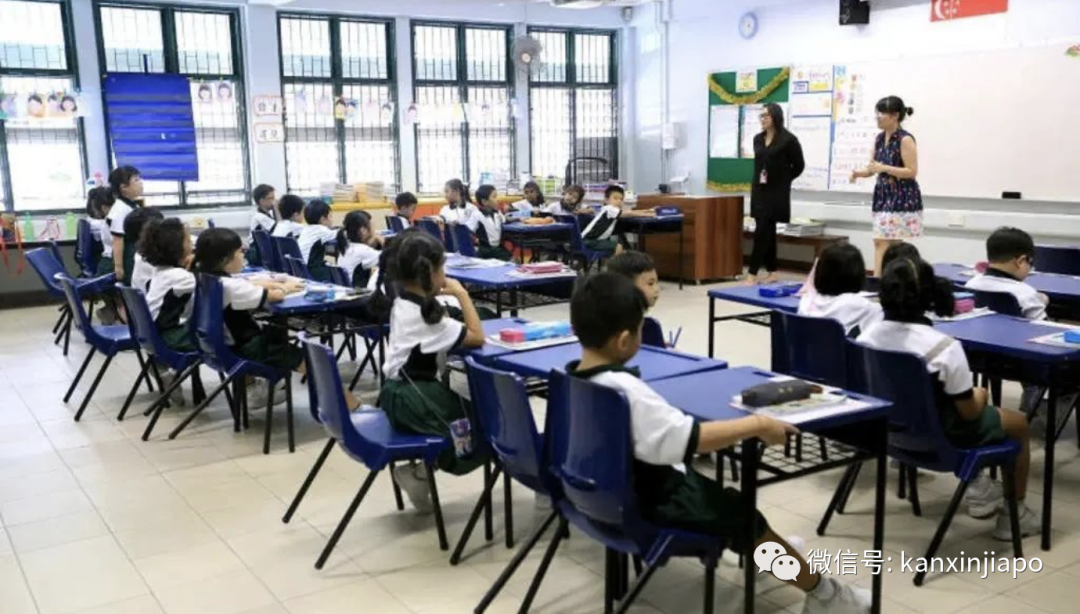 外国人如何上新加坡政府小学？（附报名流程干货）