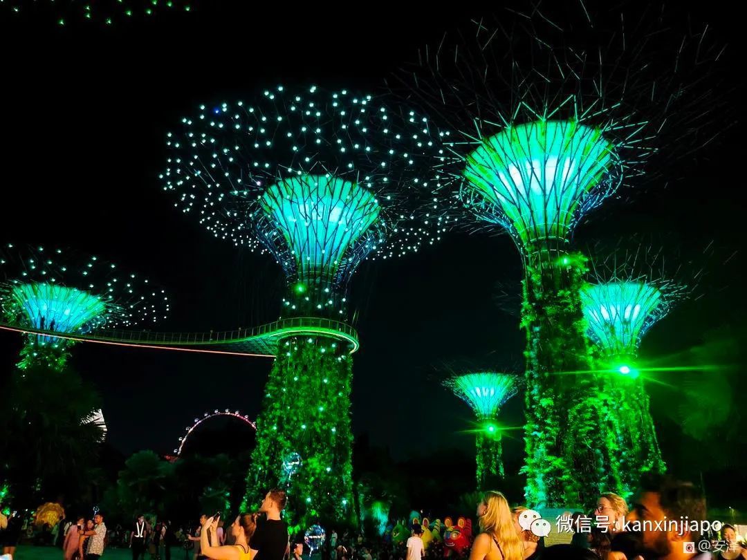 浪漫梦幻的滨海湾花园灯光秀,你去看了吗?