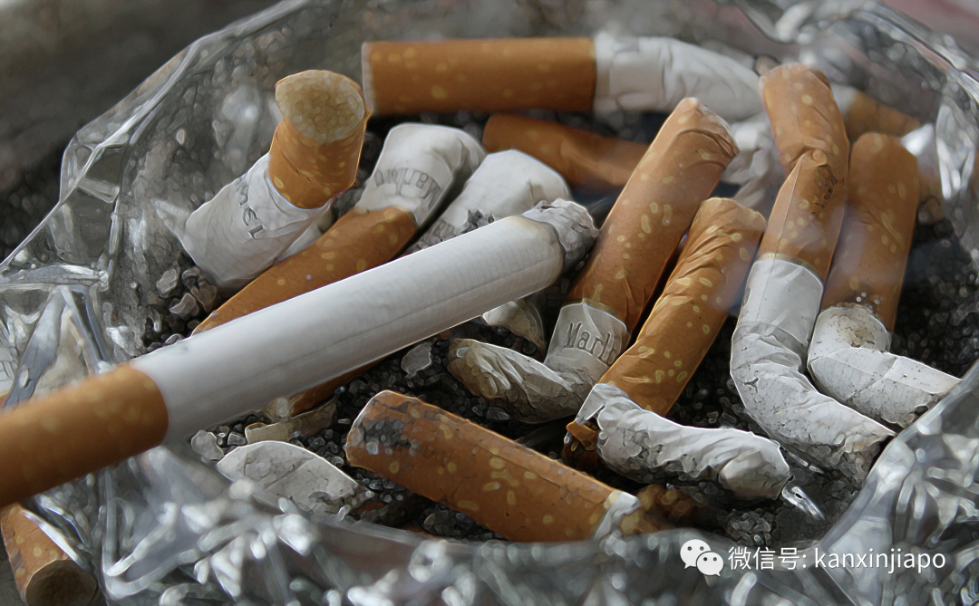 新加坡禁烟令发生大变化!涉及公园和沙滩...
