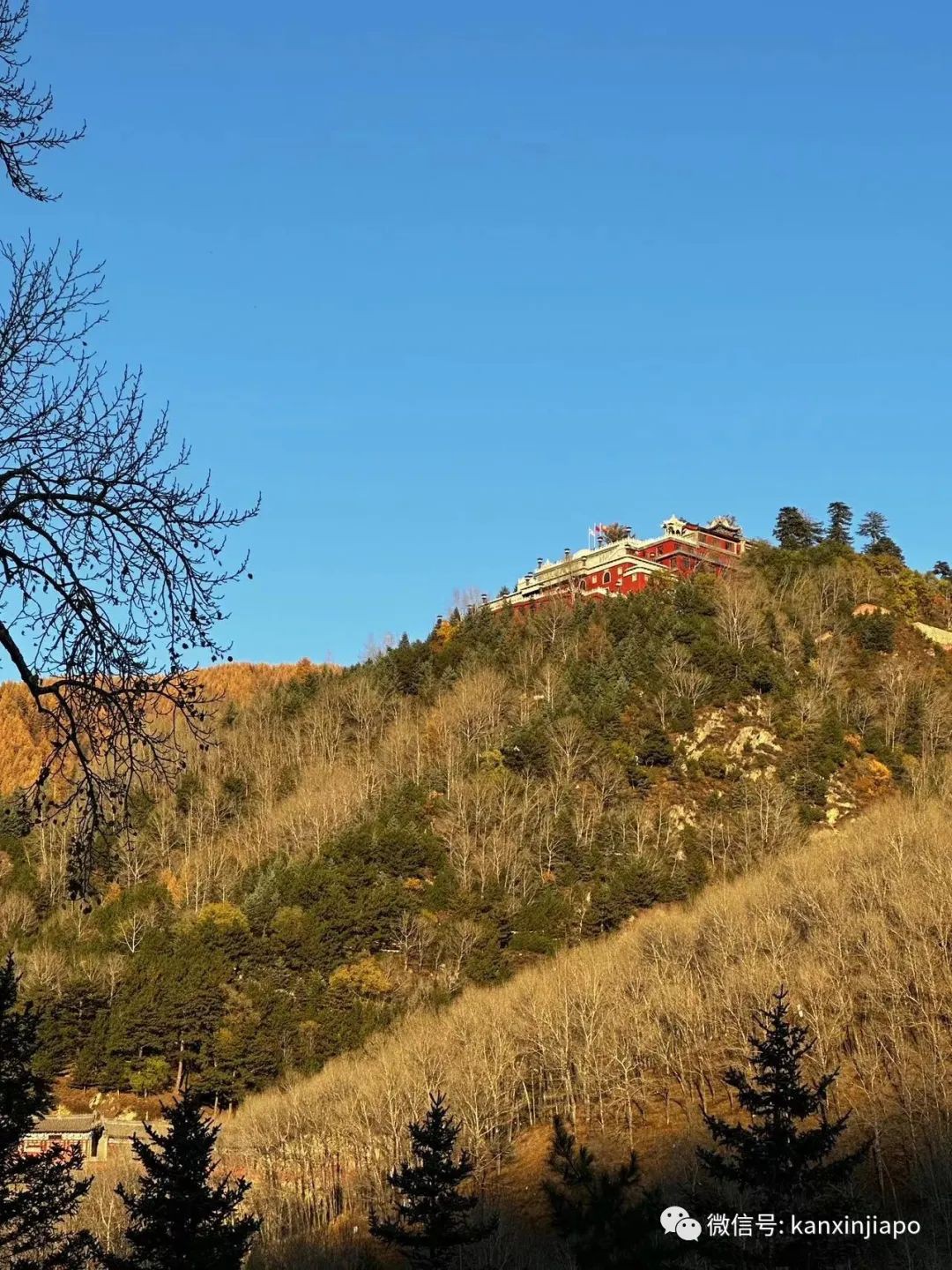新加坡的“饮胜”响彻古城平遥,却丝毫不敢干扰五台山的清净