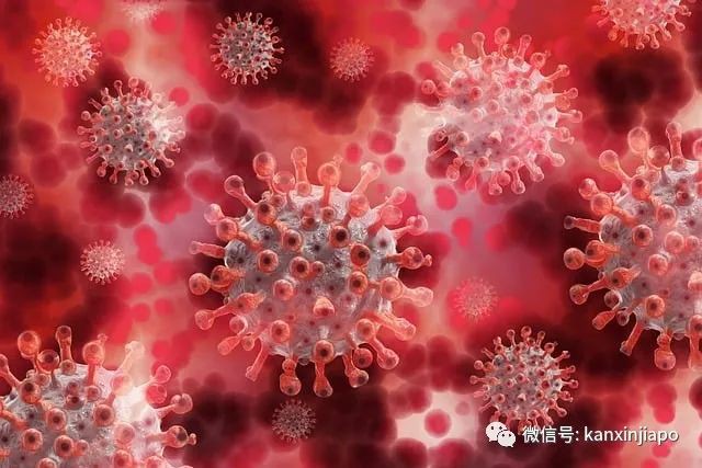 新冠变异株已在12个国家出现！新加坡新冠住院患者飙升，各国采取应对措施