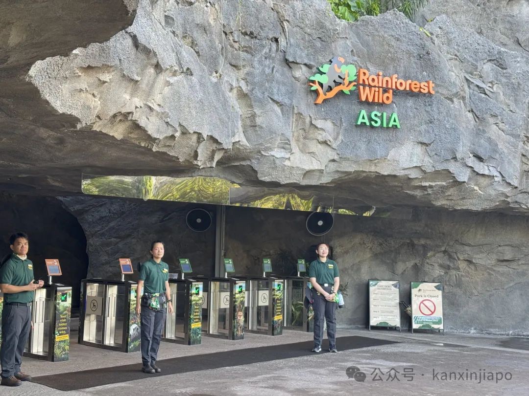 新加坡新地标!雨林探险园多样玩法,沉浸式体验自然生态