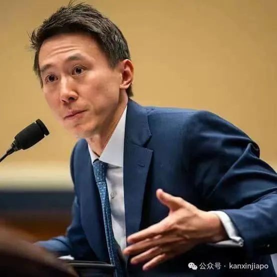 TikTok CEO周受资被美议员质问,新加坡大使发声了!