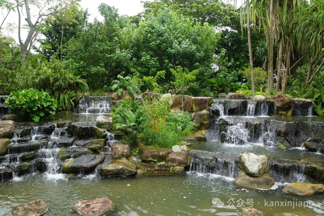 新加坡滨海湾花园这个隐藏景点,里头还有熟食中心