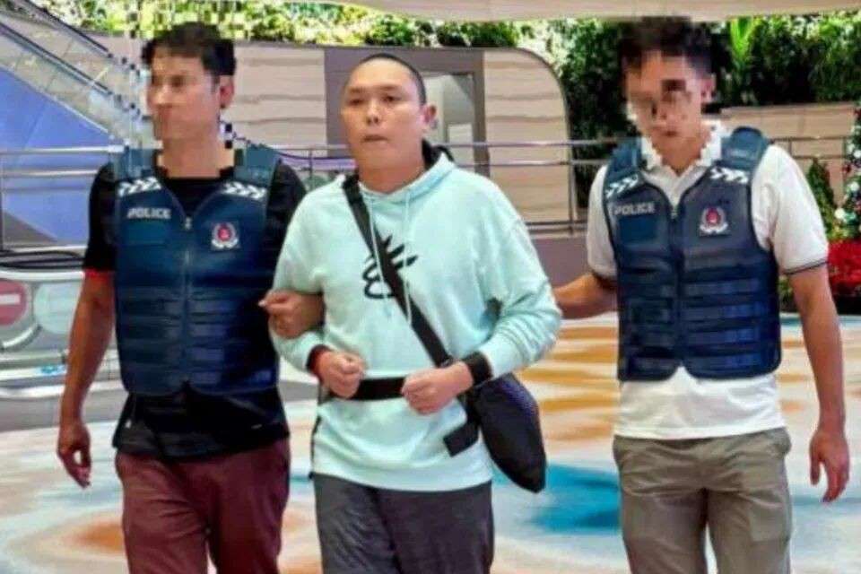 亲哥表哥女友全拉下水!柬埔寨诈骗集团又一新加坡成员落网