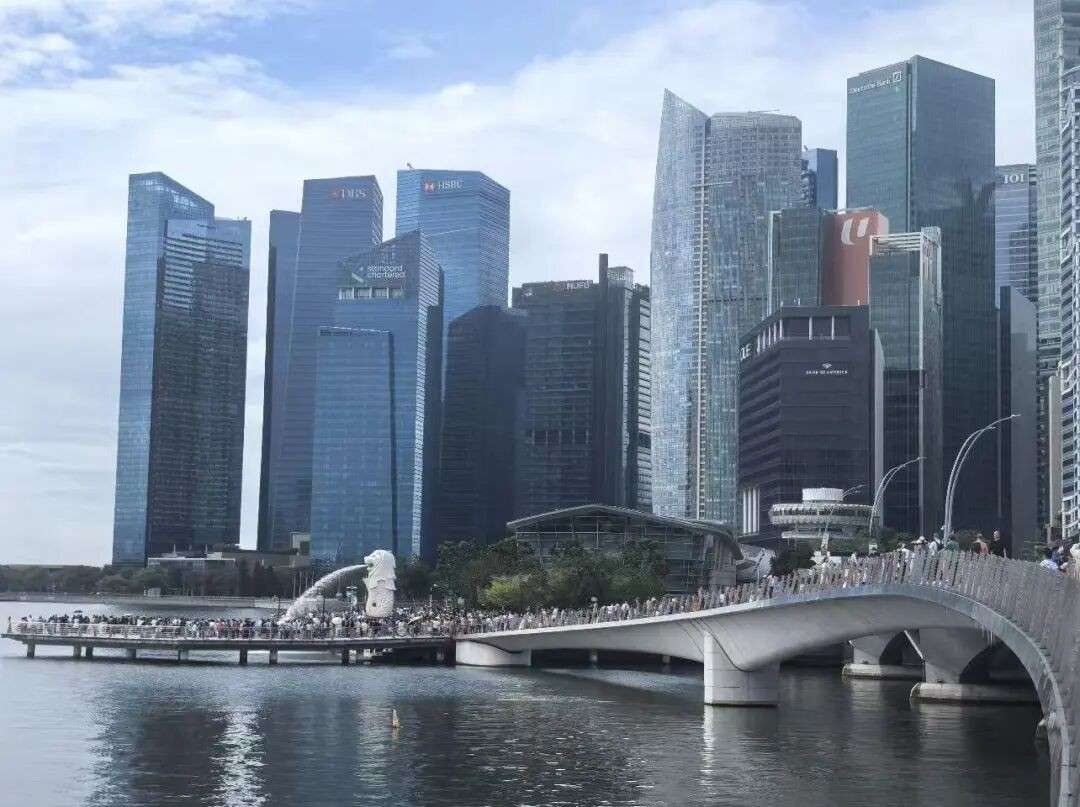 贵,但还是要来!中国游客春节挤爆新加坡