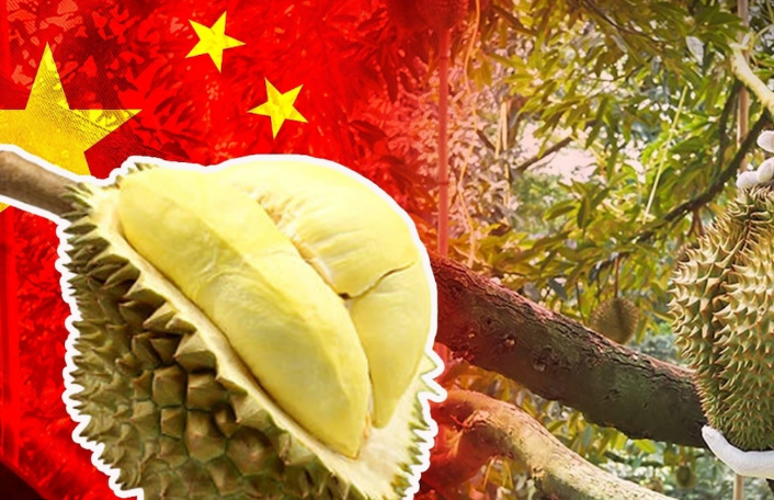 中泰友谊，要靠榴梿！