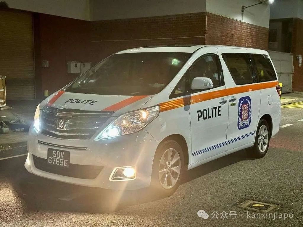 相似度99%！新加坡街头惊现“山寨”警车，警方发出严厉警告