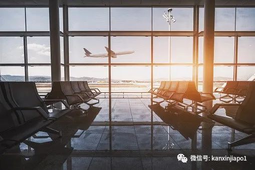 重磅!新加坡飞中国,航空公司将不查验登机前核酸
