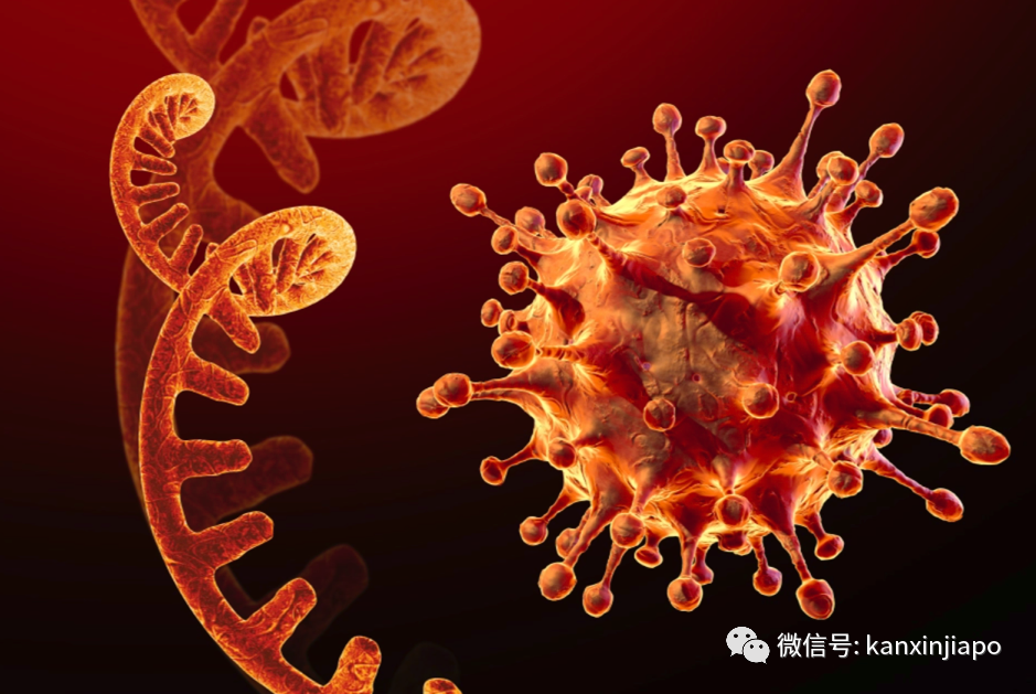 今增3743 | XE毒株可能是目前传播最快的变种,传染力强43%!香港、台湾、泰国均已发现病例