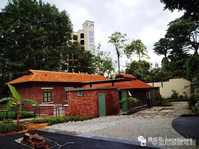 “嘘~一般人我不告诉他！新加坡这个地方不仅有隐藏美景，还有野生灵芝”
