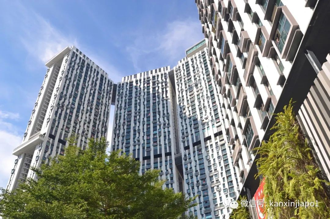 涨价！新加坡房屋租金明年还要再涨15%！