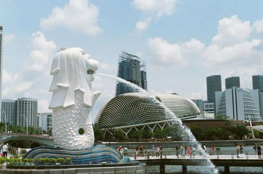 年比增加5%,新加坡旅游局最新数据披露,中国游客依旧遥遥领先