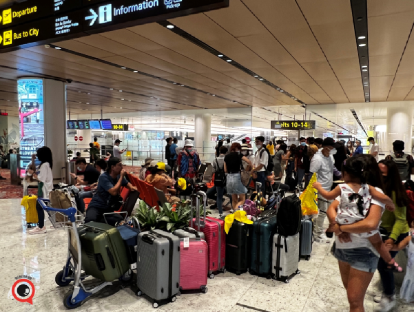 人力部考虑放宽客工行动限制；星耀樟宜四月客流量大幅回暖