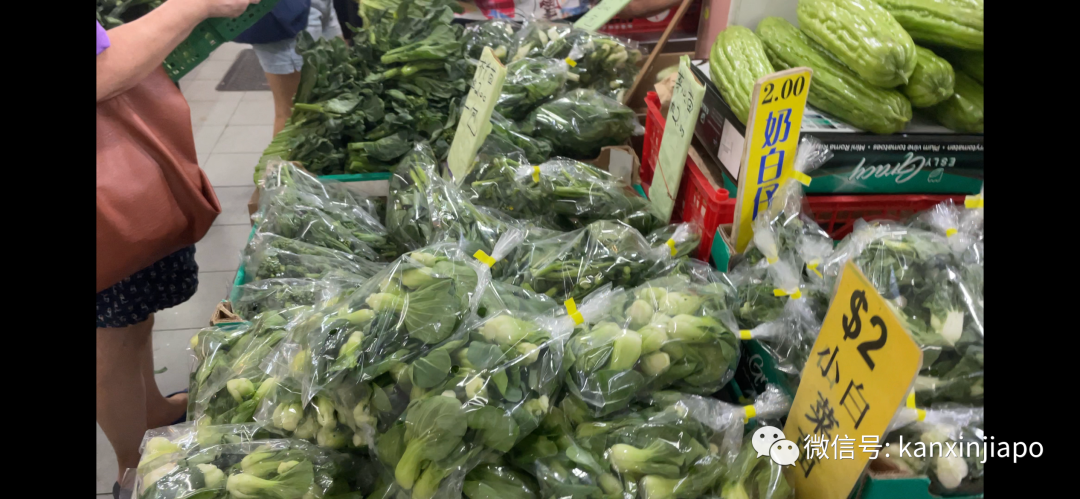 马国水灾,新加坡蔬菜价格暴涨