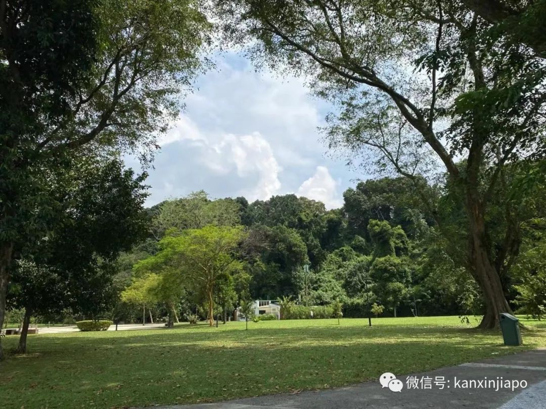 徒步拉柏多公园,远离新加坡闹市的尘嚣