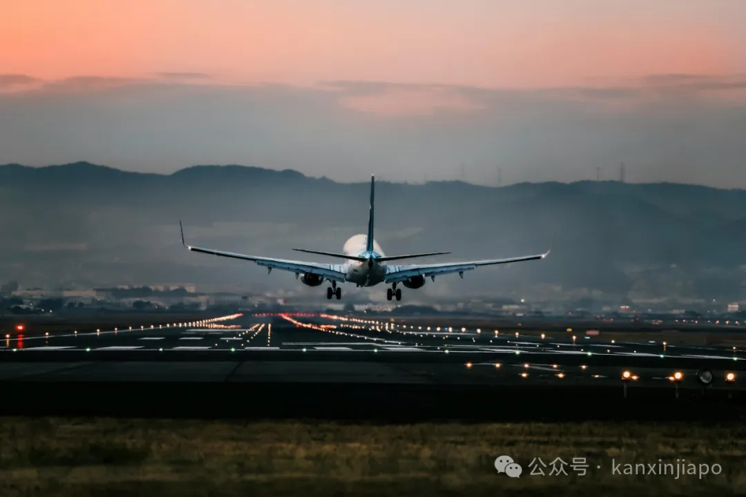 春节来新加坡的听劝!中国驻新使馆连夜划重点:这些雷区千万别踩