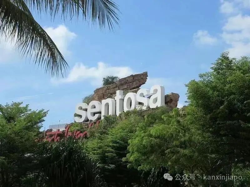 新加坡的周末游圣淘沙,烟花、烧烤…超浪漫的