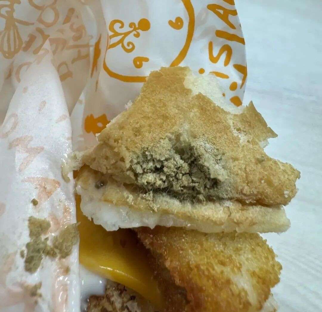 新加坡汉堡店被起诉:一口下去汉堡竟已发霉