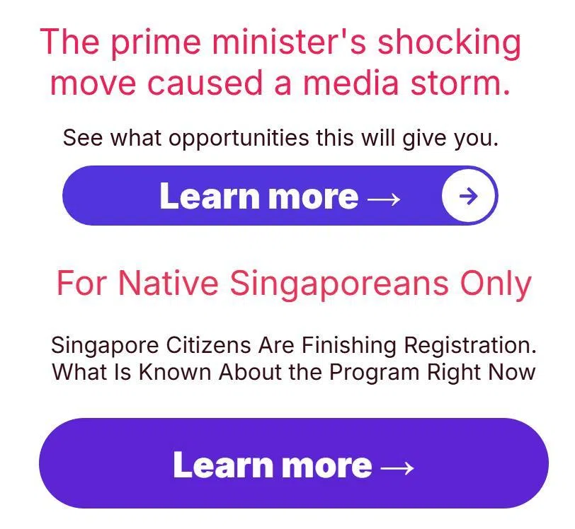 新加坡又有“政要代言”的投资广告出现了!