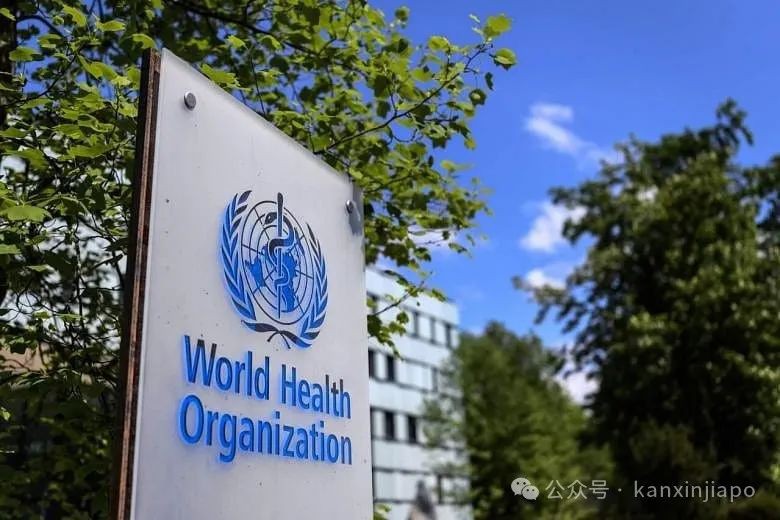 猴痘变种毒株或一个月后传入新加坡?辟谣传言:由新冠疫苗引起、只传同性恋
