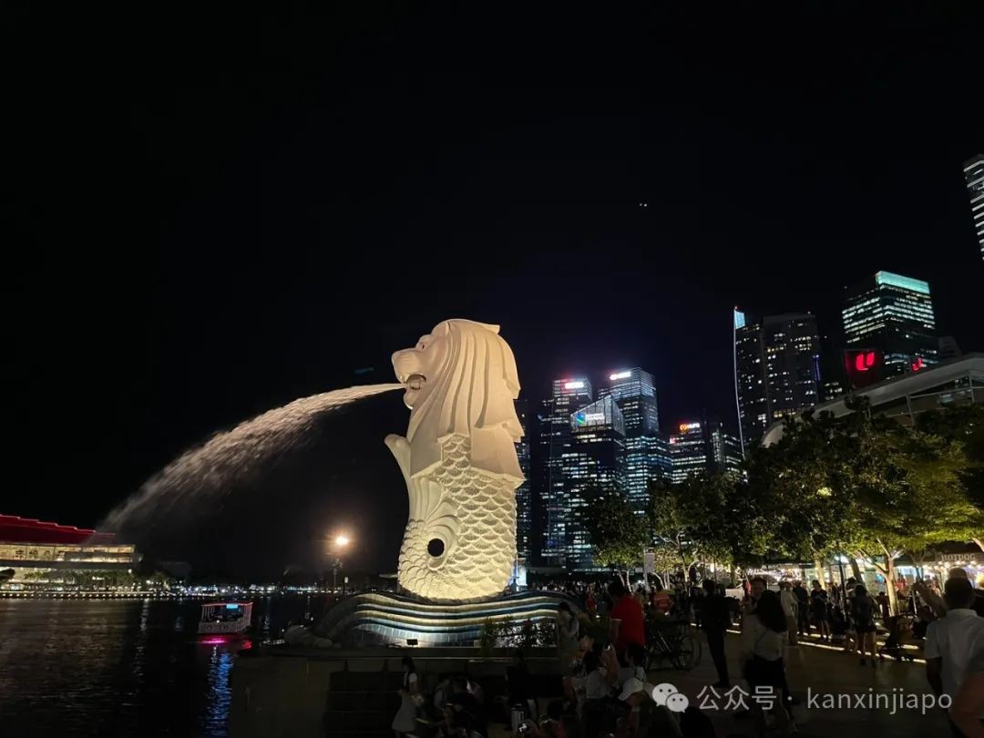 放弃国内高校老师的工作来新加坡,飞机上却泪流满面