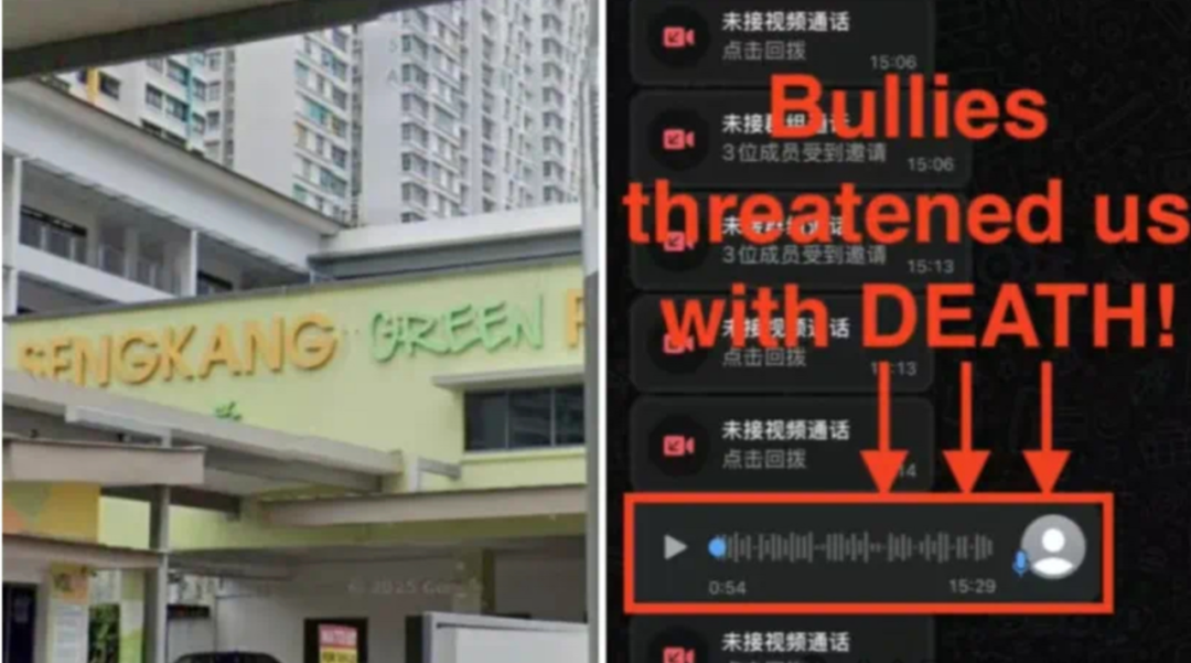 教育部回应新加坡小学霸凌事件:首次公开时间线,涉事小学生已被鞭打