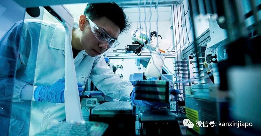 美国医药公司：若成功研发疫苗，新加坡将有权优先使用