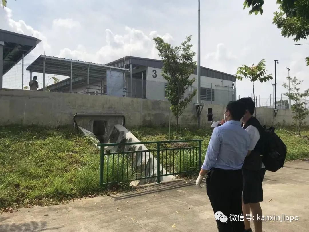 刚来新加坡就确诊咋办？回国前一天确诊咋办？记者谈现场感受…