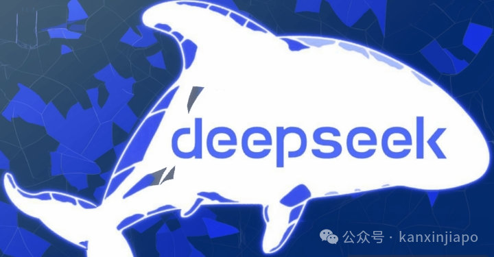 刷爆全网的DeepSeek 赢麻了？新加坡前总理夫人点破真相