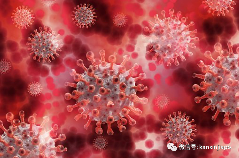 今增5554起 | 突发!加强版奥密克戎开始传入新加坡,传播力更强,更难检测