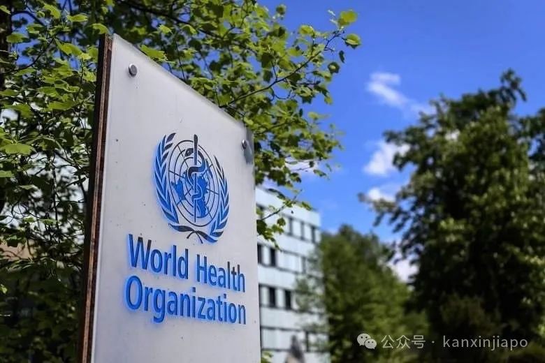 防猴痘,新加坡下令:患者隔离,健康人无须带口罩