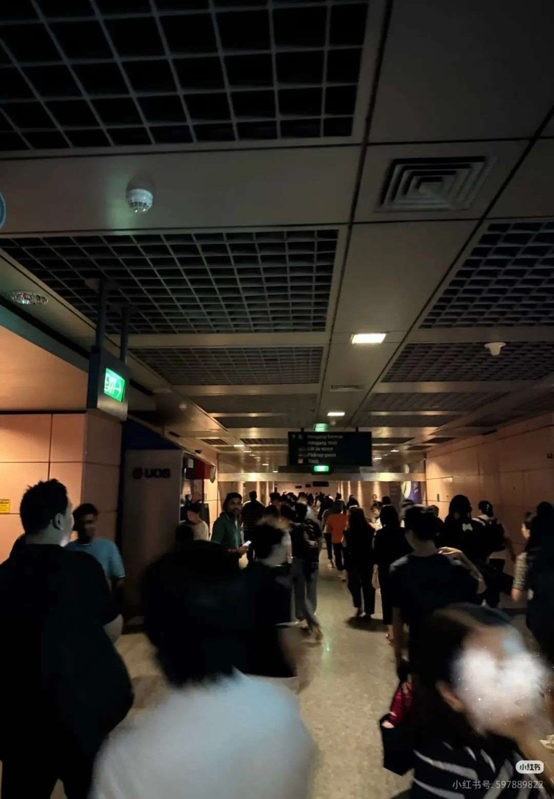 新加坡地铁东北线瘫痪!11站停运,连续抢修6小时,CEO发文道歉,连轻轨都……