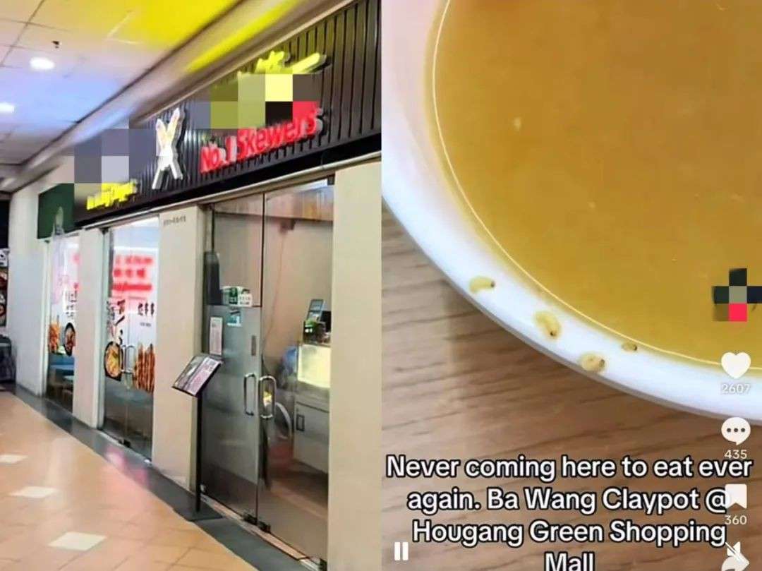 太恶心！鸡汤吃出10多条蛆，新加坡中餐厅卫生问题引关注