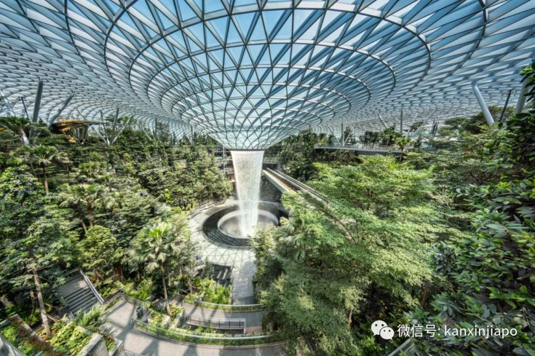 注意!新加坡樟宜机场瀑布将关闭一周