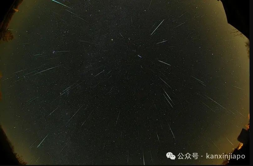 天琴座流星雨即将浪漫来袭!新加坡这些地方可看到