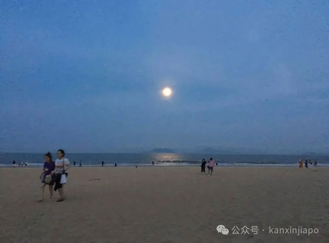 在新加坡月下喝酒,吃海鲜,过得像神仙一样