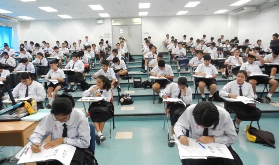 “普娃不能学奥数”，毁了多少新加坡奥数天才！