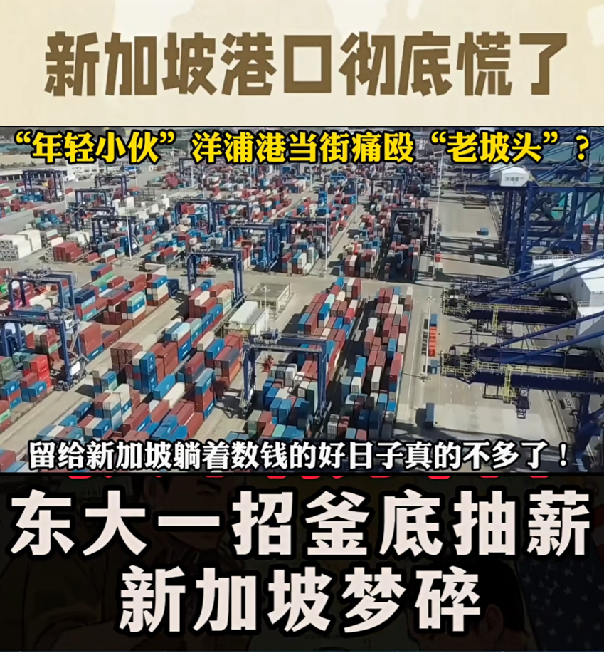海南封关,洋浦开港!全网疯传:新加坡又双叒慌了!