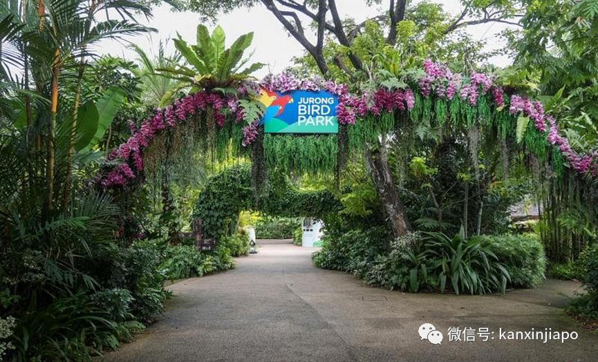 抓住最后的福利!裕廊飞禽公园门票只要10新币,还有各种嘉年华活动