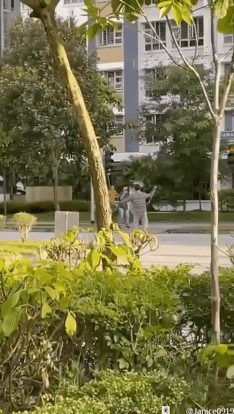 新加坡惊现男子当街砍人,部长为此发声!
