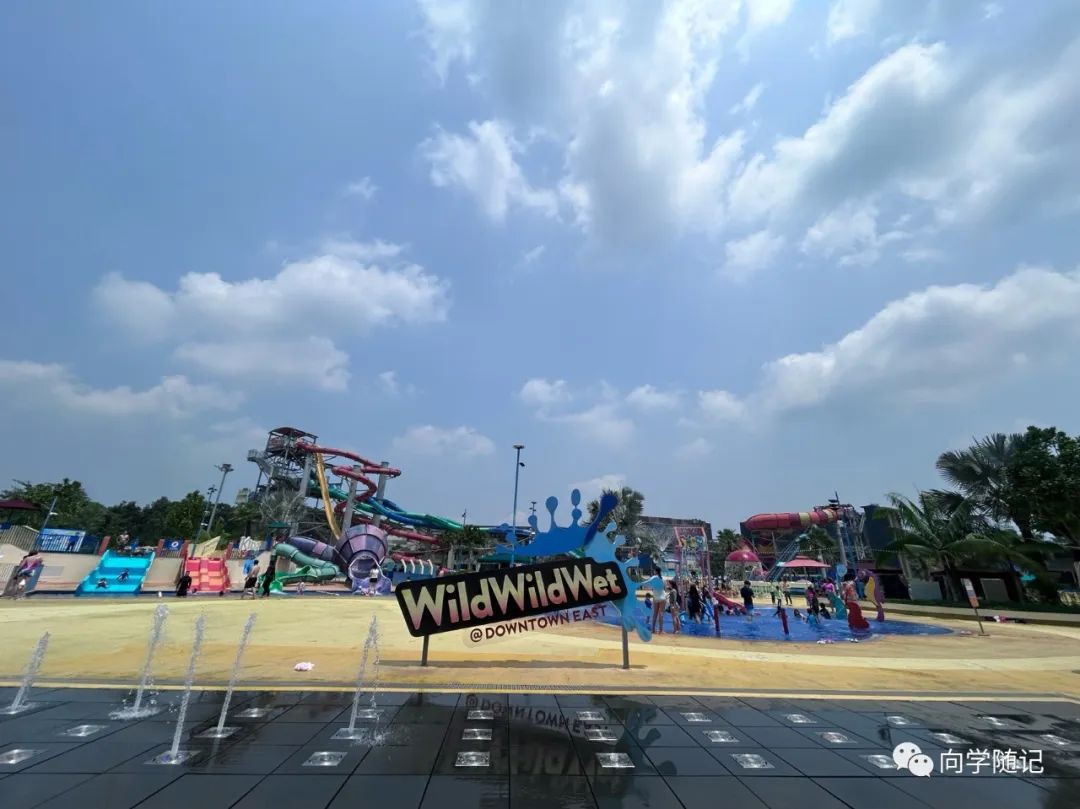 炎炎夏日，新加坡鲜为人知的水上乐园