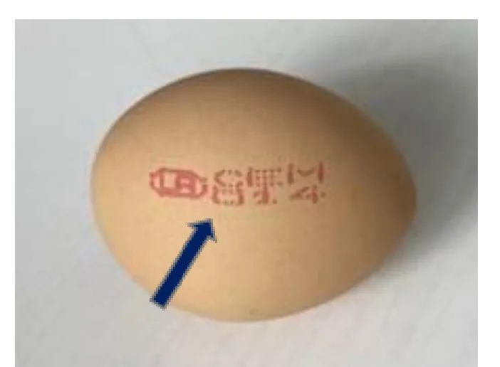 新加坡进口鸡蛋又查出肠炎沙门氏菌，四个热销品牌曾售卖